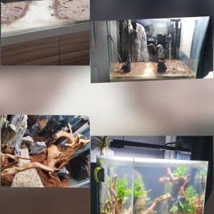 Publication de Baloo