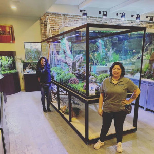 Publication de NakMuay