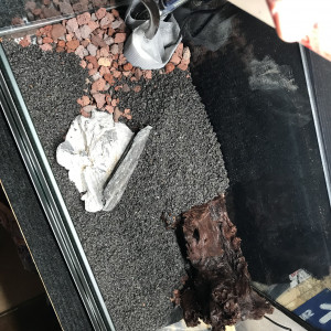 Publication de Bleu1804