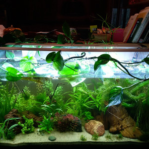 Publication de Flo64