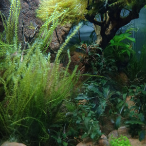 Publication de Stef7524