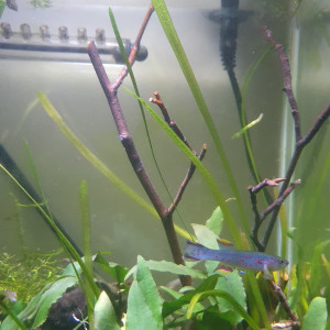 Publication de guillaume92