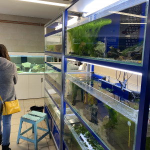 Publication de reynald-r