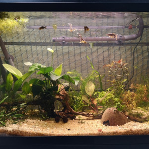 Publication de MayZark