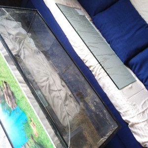 Publication de Kaeris