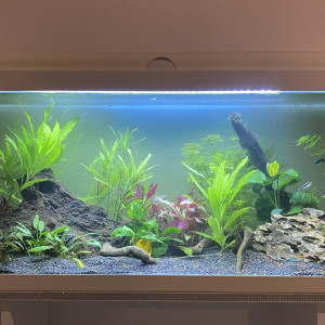 100L