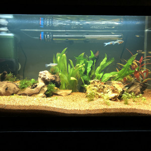 Publication de mathis-kozera