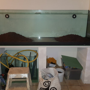 Publication de flo406