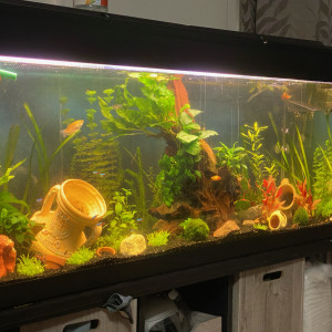 450 litres