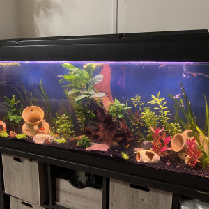 Publication de CelineC40180