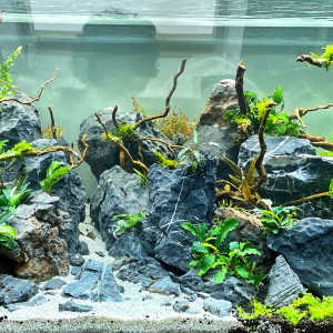 Publication de LudwigGRL