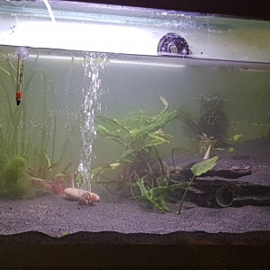 Publication de flo406