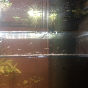 Publication de rodrigue73