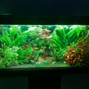 Publication de laure-poussinsky