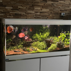 Publication de Gilles54