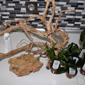 Publication de TortueGeniale91