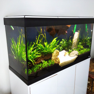 Publication de Jerome_72