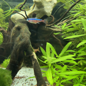 Publication de cl-charlotte-lpz