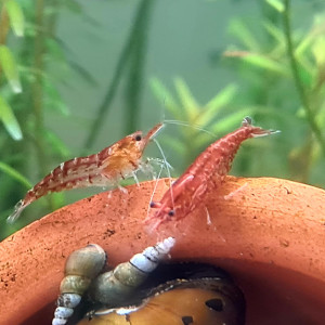 Publication de jess33