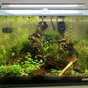 First Nano Aquarium