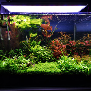 Publication de Jo2212