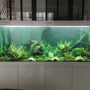 Publication de Nicolas59400