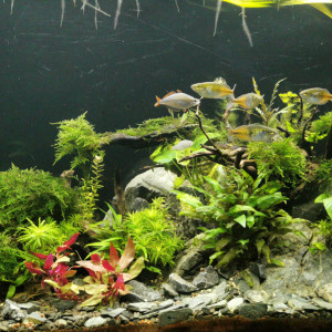 Publication de ChrisdeReims