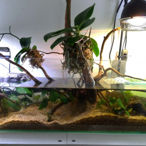 Publication de Saykeer