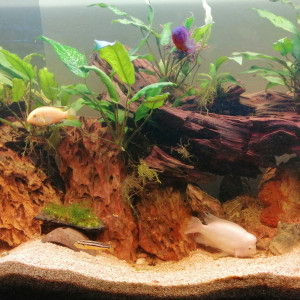 300 litres