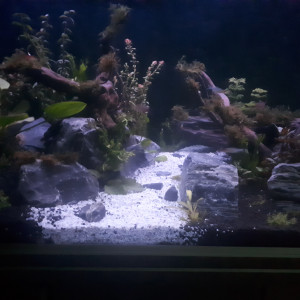 Mon 360
