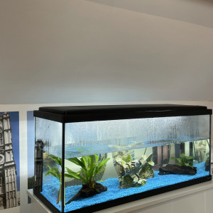 Publication de AquariumMaxence