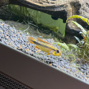 Publication de benjamin-prudhomme