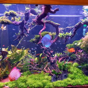 Publication de Claude34