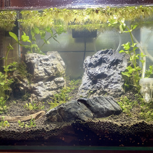 Publication de yann88