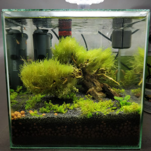 Publication de Jerem57