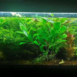 120L