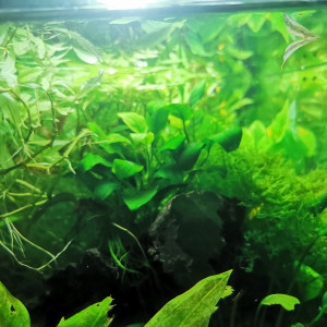 Publication de jonathan-vermeulen