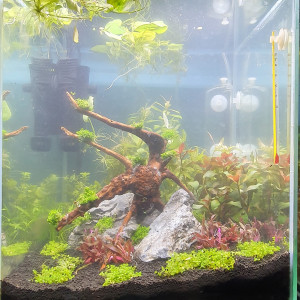 Publication de cristina-rocamora-aparicio