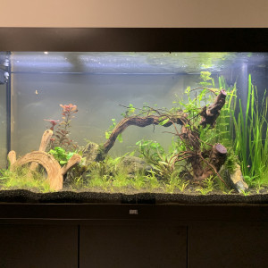 Publication de Ermelo