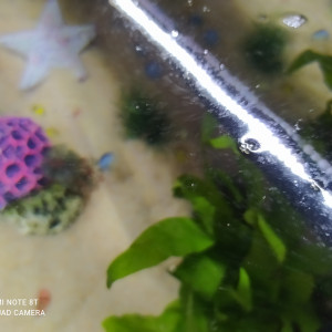 Publication de gribsgirl25490