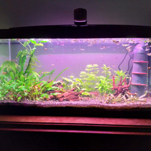 Publication de julien89113