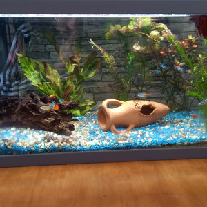 Aqua commu 60 litres le premier