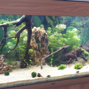 Publication de Meunier