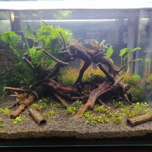 Publication de Dokta