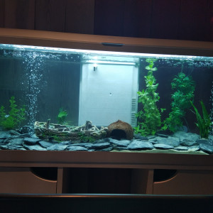 Publication de Timeoetpapa