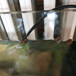 Publication de ArtemusKlegg