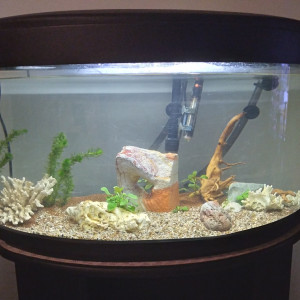 Publication de Zoe13