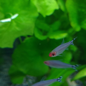 Publication de ben-kawa-martigues