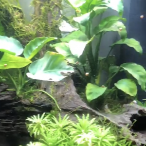 Publication de Juju690