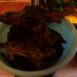 Publication de Czhug